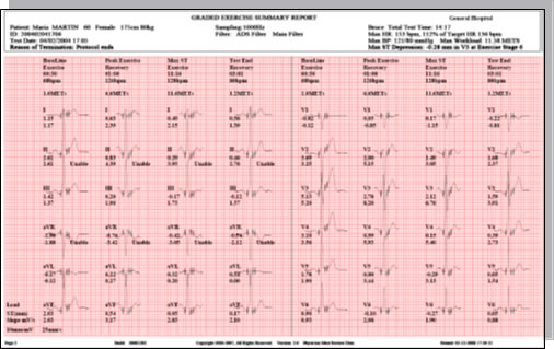 Reporte de grados del ejercicio